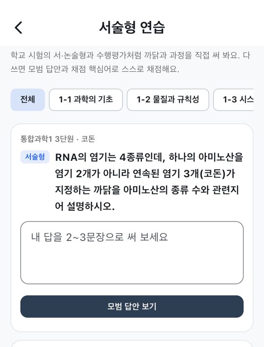 서술형 연습 화면