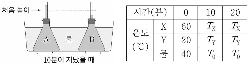 그림은 온도가 다른 액체 A와 B가 같은 부피만큼 들어 있는 동일한 용기를 물에 동시에 넣고 10분이 지났을 때의 모습을, 표는 용기를 물에 넣은 순간부터 10분마다 측정한 A, B, 물의 온도를 나타낸 것이다. X와 Y는 각각 A와 B 중 하나이다. 이에 대한 설명으로 옳은 것은? (단, 열은 물과 A, B 사이에서만 이동하고, 용기의 크기는 일정하다.)