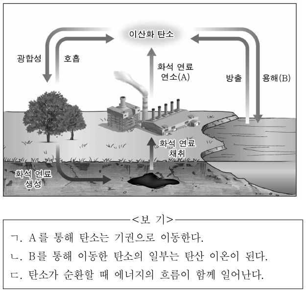 그림은 지구시스템에서 일어나는 탄소 순환의 일부를 나타낸 것이다. 이에 대한 설명으로 옳은 것만을 <보기>에서 있는 대로 고른 것은?