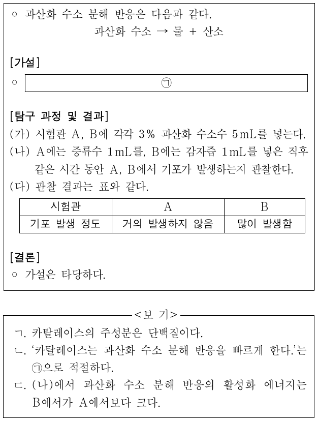 다음은 감자즙의 카탈레이스가 과산화 수소 분해 반응에 미치는 영향을 알아보기 위한 탐구 활동이다. 이에 대한 설명으로 옳은 것만을 <보기>에서 있는 대로 고른 것은? (단, 제시된 조건 이외의 다른 조건은 동일하다.)