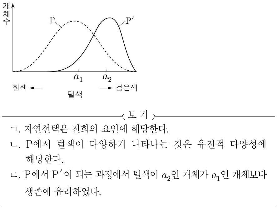 그림은 한 종으로 구성된 동물 집단 P가 환경 변화로 인한 자연선택으로 집단 P′이 되었을 때, P와 P′에서 털색에 따른 개체수를 나타낸 것이다. 이에 대한 설명으로 옳은 것만을 <보기>에서 있는 대로 고른 것은?