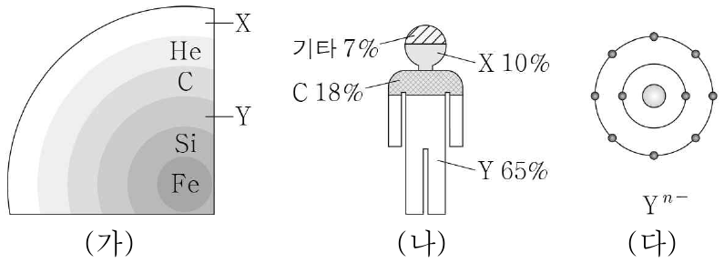 그림 (가)는 중심부에서 핵융합 반응이 끝난 별 S의 내부 구조와 각 영역에서 가장 큰 질량비를 차지하는 원소를, (나)는 사람을 구성하는 원소의 질량비를, (다)는 이온 Yⁿ⁻의 전자 배치 모형을 나타낸 것이다. 이에 대한 설명으로 옳지 않은 것은? (단, X와 Y는 임의의 원소 기호이다.)
