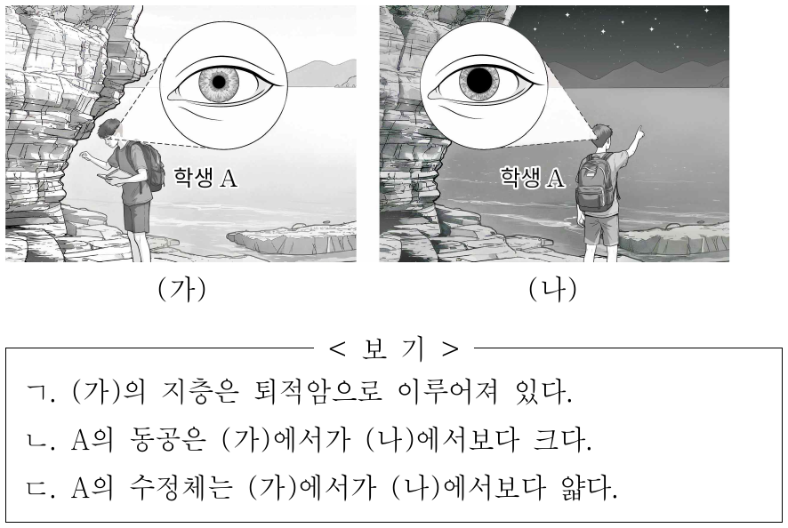 그림 (가)는 학생 A가 밝은 낮에 사암과 셰일로 이루어진 어느 지층을 관찰하는 모습을, (나)는 어두운 밤에 하늘의 별을 관찰하는 모습을 나타낸 것이다. A의 수정체는 가까운 물체를 볼 때가 먼 물체를 볼 때보다 두껍다. 이에 대한 옳은 설명만을 <보기>에서 있는 대로 고른 것은?