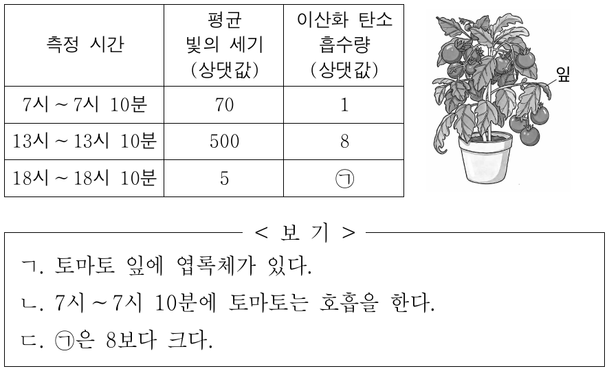 표는 하루 중 서로 다른 시간에 측정한 평균 빛의 세기와 토마토의 이산화 탄소 흡수량을, 그림은 이 측정에 사용된 토마토를 나타낸 것이다. 이에 대한 옳은 설명만을 <보기>에서 있는 대로 고른 것은? (단, 물은 충분하며, 온도는 일정하다.)