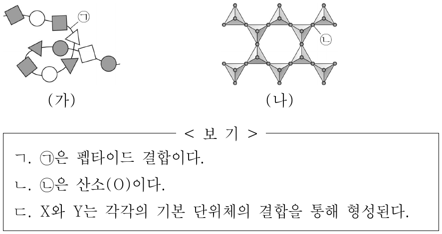 그림 (가)는 단백질 X에서 아미노산이 이루는 결합 구조를, (나)는 규산염 광물 Y에서 규산염 사면체가 이루는 결합 구조를 나타낸 것이다. ㉠은 아미노산 사이의 결합이고, ㉡은 규소(Si)와 산소(O) 중 하나이다. 이에 대한 옳은 설명만을 <보기>에서 있는 대로 고른 것은?