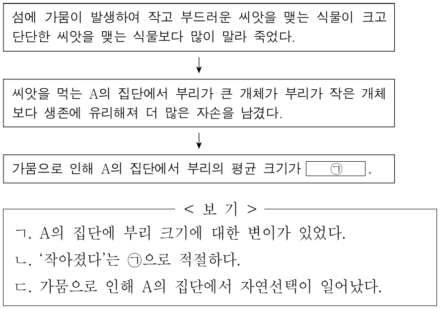 다음은 갈라파고스 제도의 어떤 섬에 서식하는 핀치 종 A의 집단에 대한 자료이다. 이에 대한 옳은 설명만을 <보기>에서 있는 대로 고른 것은?