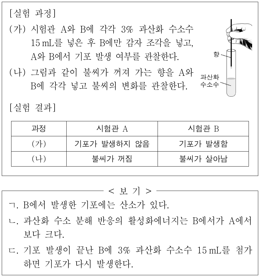 다음은 과산화 수소 분해 반응에서 효소의 작용을 알아보기 위한 실험이다. 이에 대한 옳은 설명만을 <보기>에서 있는 대로 고른 것은?