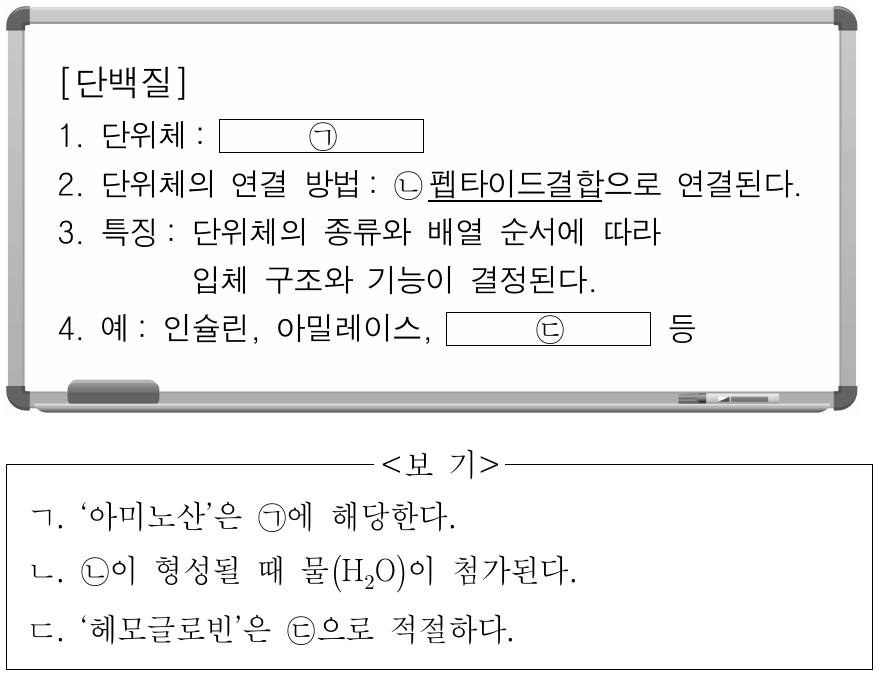 다음은 단백질에 대한 설명이다. 이에 대한 설명으로 옳은 것만을 <보기>에서 있는 대로 고른 것은?