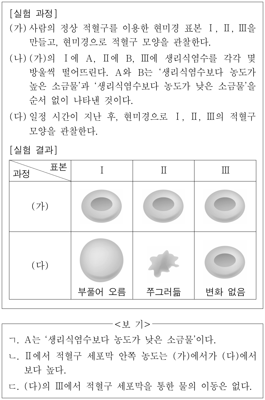 다음은 세포막을 통한 물질의 이동에 대한 실험이다. 이에 대한 설명으로 옳은 것만을 <보기>에서 있는 대로 고른 것은? (단, 제시된 조건 이외의 다른 조건은 동일하다.)