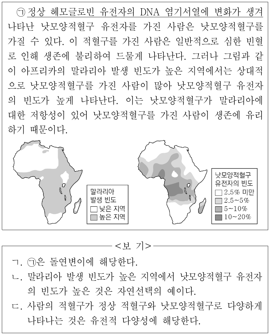 다음은 낫모양적혈구와 말라리아 발생 지역에 대한 자료이다. 이에 대한 설명으로 옳은 것만을 <보기>에서 있는 대로 고른 것은?