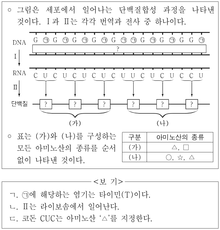 다음은 유전정보의 흐름에 대한 자료이다. 이에 대한 설명으로 옳은 것만을 <보기>에서 있는 대로 고른 것은? (단, 돌연변이는 고려하지 않는다.)