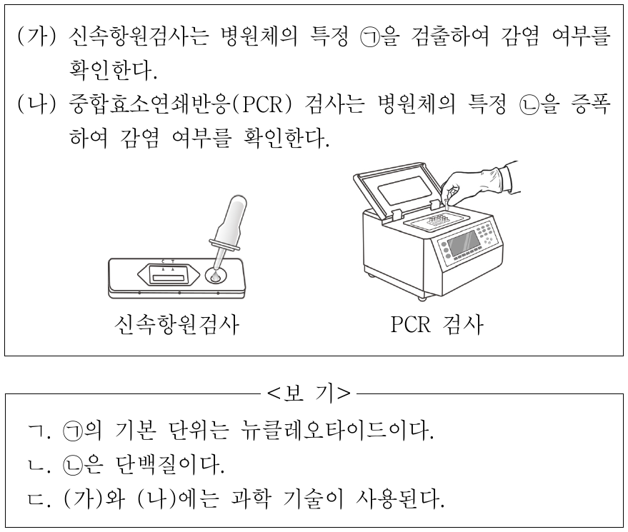 다음은 감염병을 진단하는 방법 (가)와 (나)에 대한 설명이다. ㉠과 ㉡은 핵산과 단백질을 순서 없이 나타낸 것이다. 이에 대한 설명으로 옳은 것만을 <보기>에서 있는 대로 고른 것은?
