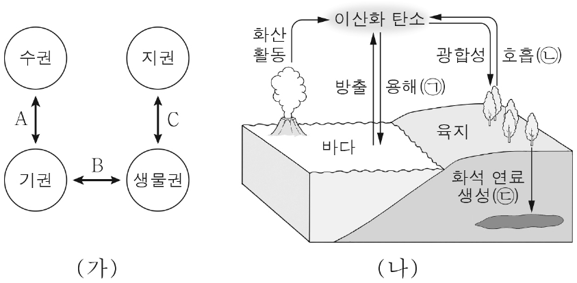 그림 (가)는 지구시스템을 구성하는 권역 간의 상호작용 A, B, C를, (나)는 지구시스템에서 일어나는 탄소 순환의 일부를 나타낸 것이다. A, B, C의 예에 해당하는 ㉠, ㉡, ㉢으로 옳은 것은?