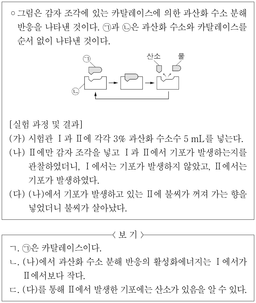 다음은 과산화 수소 분해 반응에 대한 실험이다. 이에 대한 설명으로 옳은 것만을 <보기>에서 있는 대로 고른 것은? (단, 제시된 조건 이외의 다른 조건은 동일하다.)