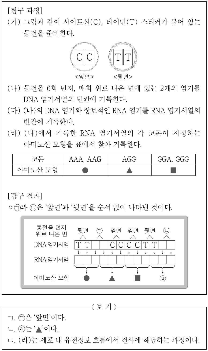다음은 세포 내 유전정보 흐름에 대한 탐구 활동이다. 이에 대한 설명으로 옳은 것만을 <보기>에서 있는 대로 고른 것은?