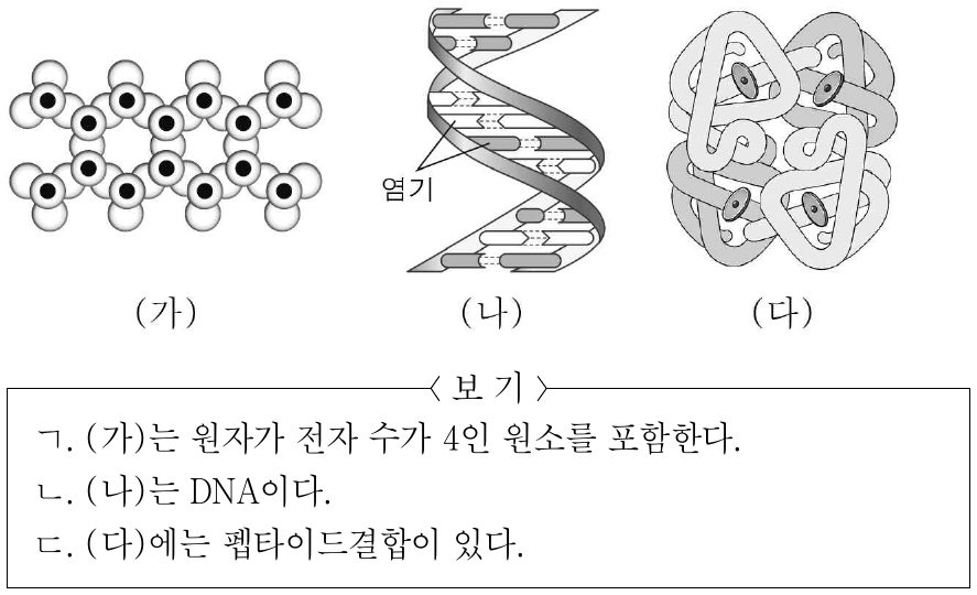 그림은 규산염 광물 (가)의 결합 구조와 사람을 구성하는 물질 (나)와 (다)의 구조를 나타낸 것이다. (가), (나), (다)는 각각 DNA, 각섬석, 헤모글로빈 중 하나이다. 이에 대한 설명으로 옳은 것만을 <보기>에서 있는 대로 고른 것은?