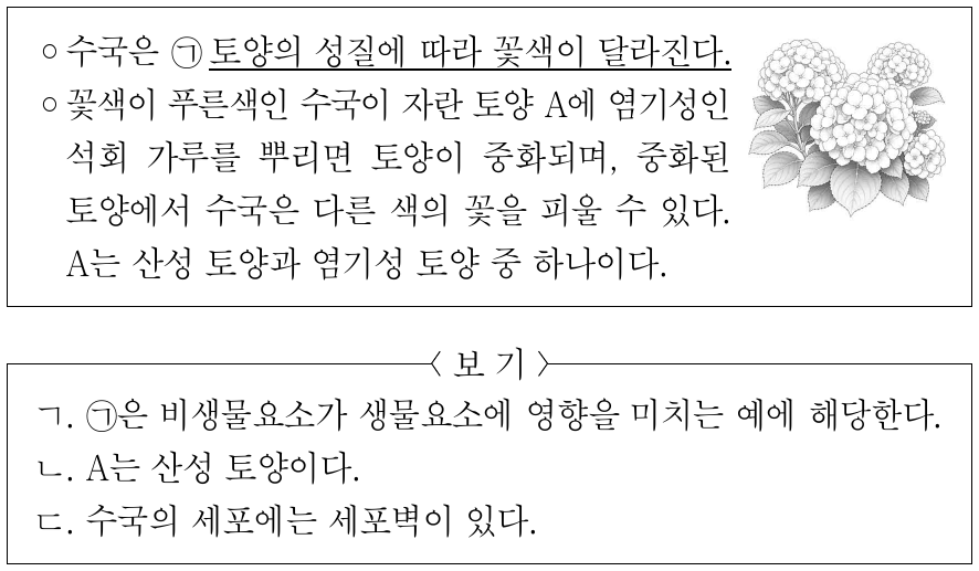 다음은 수국에 대한 자료이다. 이에 대한 설명으로 옳은 것만을 <보기>에서 있는 대로 고른 것은?
