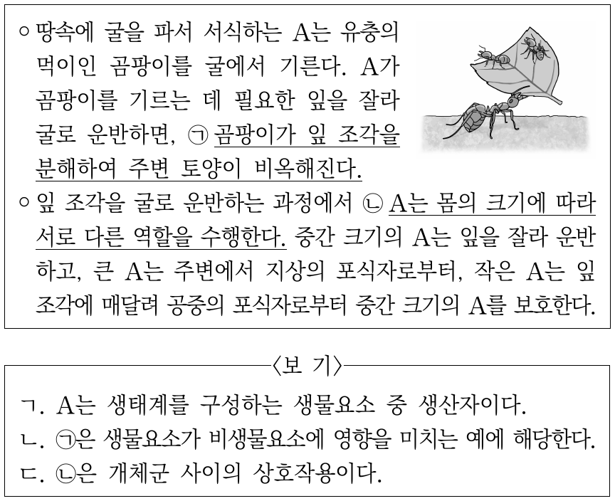다음은 개미 종 A에 대한 자료이다. 이에 대한 설명으로 옳은 것만을 <보기>에서 있는 대로 고른 것은?