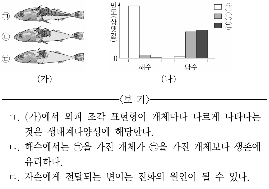 큰가시고기 종 A는 포식자로부터 생존에 유리한 외피 조각 표현형을 갖는다. 그림 (가)는 A의 외피 조각 표현형 ㉠, ㉡, ㉢을, (나)는 해수와 담수에서 ㉠, ㉡, ㉢을 가진 A 개체의 빈도를 나타낸 것이다. 이에 대한 설명으로 옳은 것만을 <보기>에서 있는 대로 고른 것은?