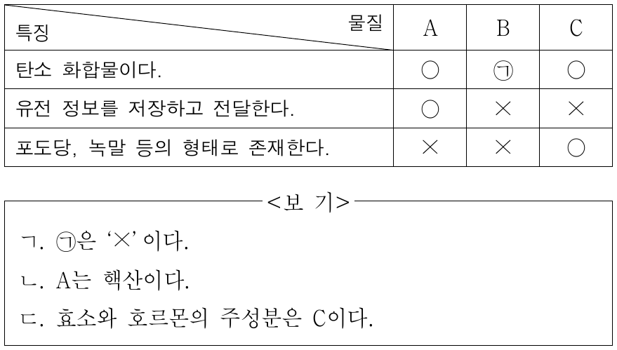 표는 생명체를 구성하는 물질 A ∼ C의 특징을 나타낸 것이다. A ∼ C는 각각 단백질, 탄수화물, 핵산 중 하나이다. 이에 대한 설명으로 옳은 것만을 <보기>에서 있는 대로 고른 것은?