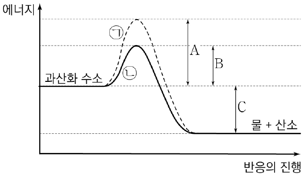 그림은 과산화 수소 분해 반응에서의 에너지 변화를 나타낸 것으로, ㉠과 ㉡은 각각 생체 촉매인 카탈레이스가 있을 때와 없을 때 중 하나이다. 카탈레이스가 있을 때 과산화 수소 분해 반응의 활성화 에너지는?