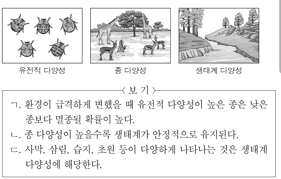 그림은 유전적 다양성, 종 다양성, 생태계 다양성을 나타낸 것이다. 이에 대한 설명으로 옳은 것만을 <보기>에서 있는 대로 고른 것은?