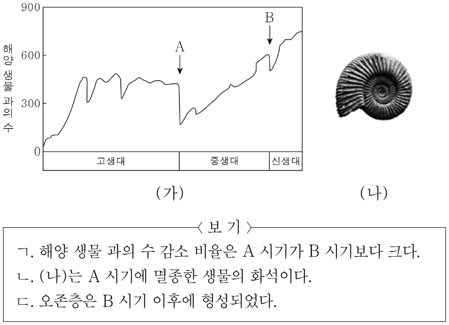 그림 (가)는 고생대 이후 해양 생물 과의 수 변화를, (나)는 암모나이트 화석을 나타낸 것이다. A와 B는 대멸종 시기이다. 이에 대한 설명으로 옳은 것만을 <보기>에서 있는 대로 고른 것은?