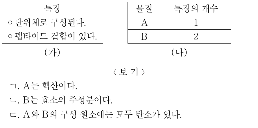 표 (가)는 생명체를 구성하는 물질의 2가지 특징을, (나)는 (가)의 특징 중 물질 A와 B가 갖는 특징의 개수를 나타낸 것이다. A와 B는 각각 단백질과 핵산 중 하나이다. 이에 대한 설명으로 옳은 것만을 <보기>에서 있는 대로 고른 것은?