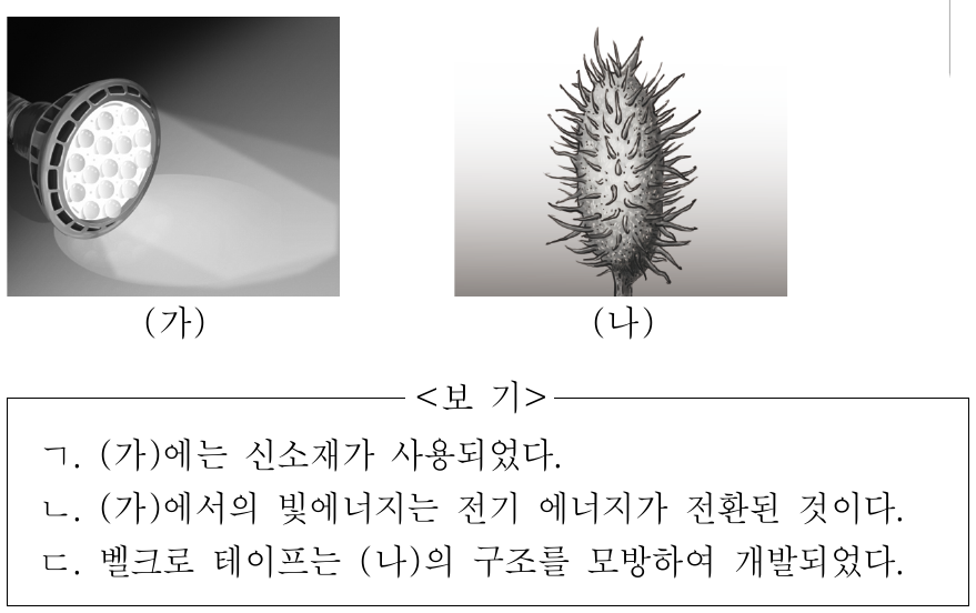 그림 (가)는 빛을 방출하는 LED등을, (나)는 작은 갈고리 모양의 가시가 있는 도꼬마리 열매를 나타낸 것이다. 이에 대한 설명으로 옳은 것만을 <보기>에서 있는 대로 고른 것은?