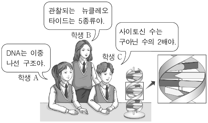 그림은 DNA 모형에 대해 학생 A~C가 대화하는 모습을 나타낸 것이다. 제시한 내용이 옳은 학생만을 있는 대로 고른 것은?