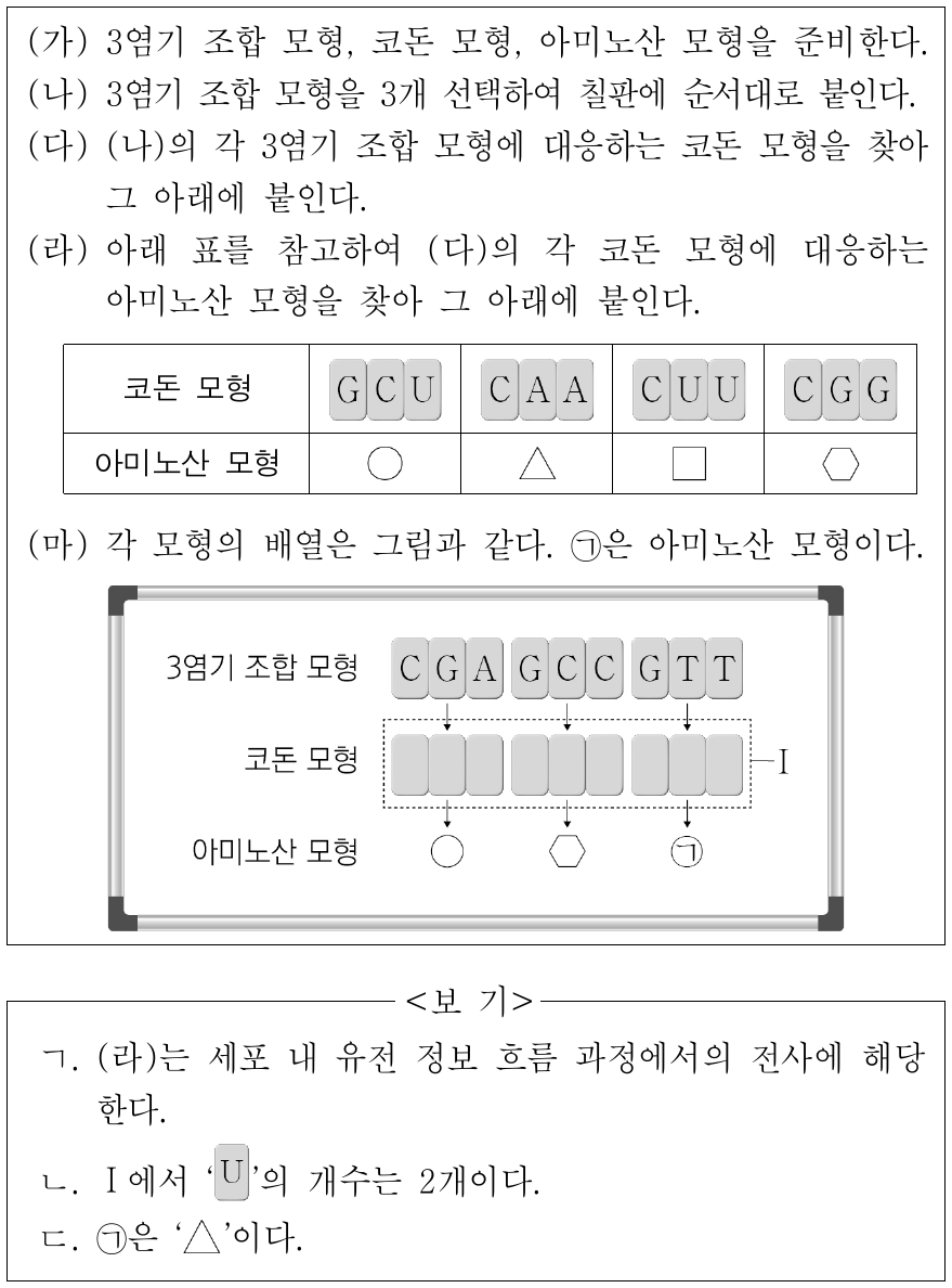 다음은 세포 내 유전 정보의 흐름에 대한 모의 실험이다. 이에 대한 설명으로 옳은 것만을 <보기>에서 있는 대로 고른 것은?