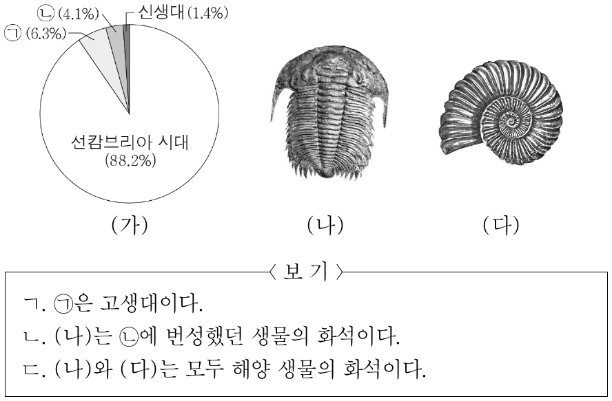 그림 (가)는 지질 시대의 지속 기간을 상대적인 비율로 나타낸 것이고, (나)와 (다)는 각각 삼엽충 화석과 암모나이트 화석을 나타낸 것이다. ㉠과 ㉡은 각각 고생대와 중생대 중 하나이다. 이에 대한 설명으로 옳은 것만을 <보기>에서 있는 대로 고른 것은?
