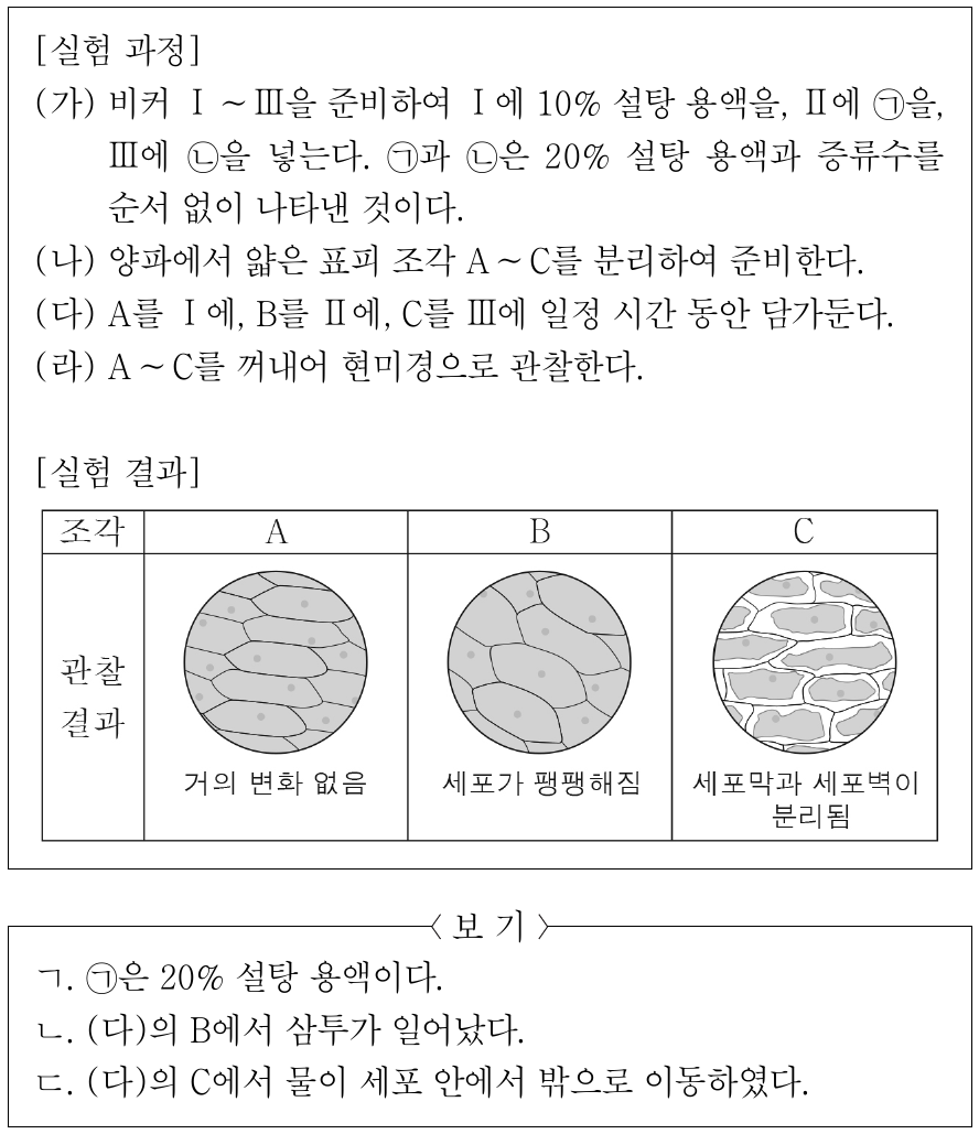 다음은 세포막을 통한 물질의 이동에 대한 실험이다. 이에 대한 설명으로 옳은 것만을 <보기>에서 있는 대로 고른 것은? (단, 제시된 조건 이외의 다른 조건은 동일하다.)